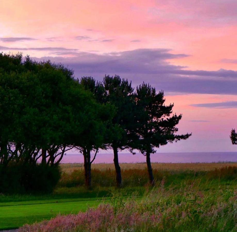 Normandy'S Green By The Sea Port-en-Bessin-Huppain Eksteriør billede